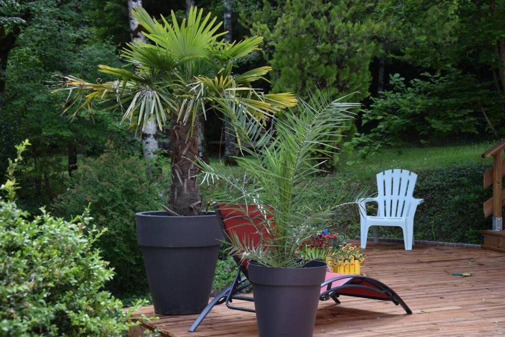 Gite Recent Au Calme Entre Champs Et Forets Perigord Vert Grand Brassac Exterior foto